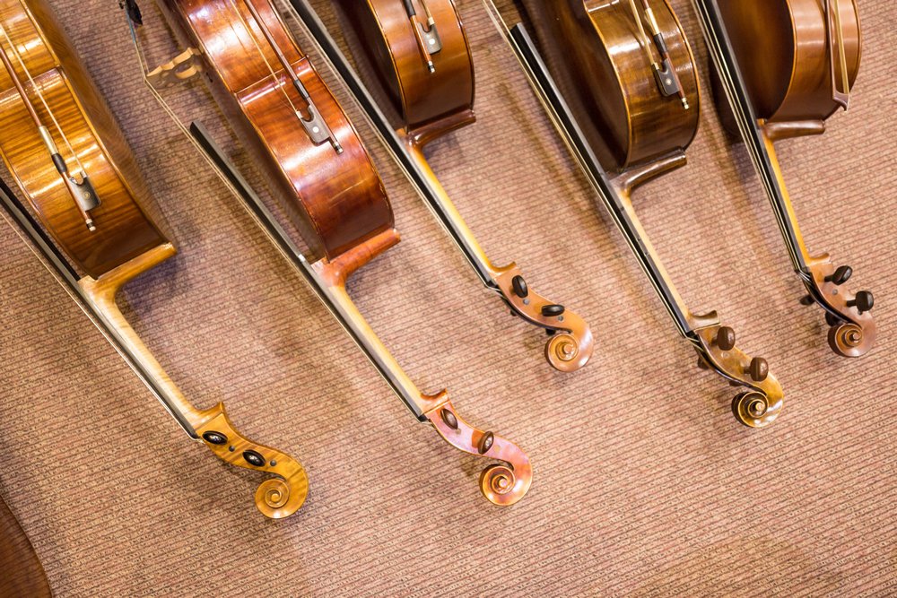 Organizer • Orchestral Campus 2025